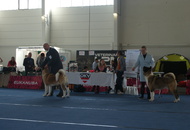 -01.10. Internationale Ausstellung Tulln (A)