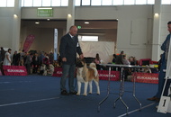 -01.10. Internationale Ausstellung Tulln (A)