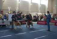 -01.10. Internationale Ausstellung Tulln (A)