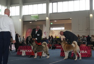 -01.10. Internationale Ausstellung Tulln (A)