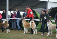 -22. CACIB Komárom (H)