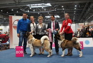 World Dog Show Leipzig (D)