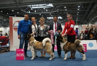 World Dog Show Leipzig (D)