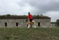 Komárom CAC Dog Show (H)