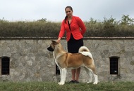 Komárom CAC Dog Show (H)