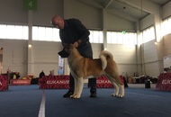 -01.10. Internationale Ausstellung Tulln (A)