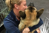 World Dog Show Leipzig (D)