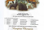 FeHoVa Winter Dogshow Budapest (H)