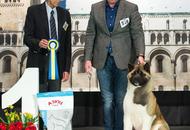 - 03.18. IDS Pécs (H)