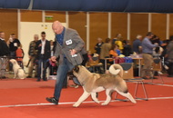 - 03.18. IDS Pécs (H)