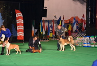 - 03.18. IDS Pécs (H)