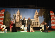 - 03.18. IDS Pécs (H)