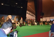 - 03.18. IDS Pécs (H)