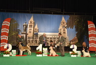 - 03.18. IDS Pécs (H)