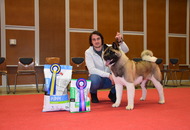 - 03.18. IDS Pécs (H)