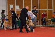 - 03.18. IDS Pécs (H)