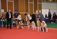 - 03.18. IDS Pécs (H)