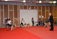 - 03.18. IDS Pécs (H)