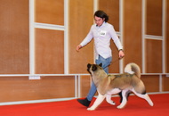 - 03.18. IDS Pécs (H)