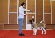 - 03.18. IDS Pécs (H)