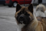 - 03.18. IDS Pécs (H)