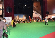 - 03.18. IDS Pécs (H)