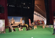 - 03.18. IDS Pécs (H)