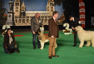 - 03.18. IDS Pécs (H)