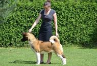 Cullinan Of Danger Zone "Scully"