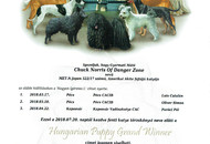 Chuck Norris Of Danger Zone "Chucky"