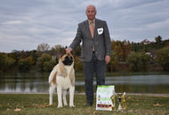 CAC Dunaújváros (H)