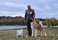 CAC Dunaújváros (H)