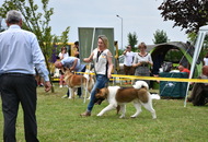 CAC HR Koprivnica (HR)