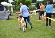 CAC HR Koprivnica (HR)