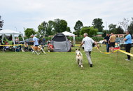 CAC HR Koprivnica (HR)