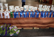 AAÖTKE Klub Show Budapest (H)