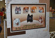 AAÖTKE Klub Show Budapest (H)