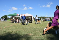 CACIB Osijek International Dog Show (HR)