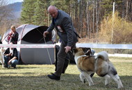 CAC Dog Show Salgótarján (H) 