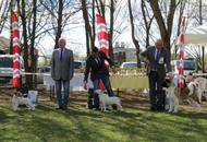 Hunting Dog CAC Show Kaposvár (H) 