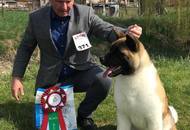 CAC Dog Show Pécs (H) 