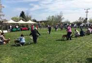CAC Dog Show Pécs (H) 
