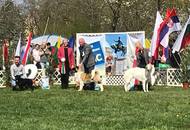 CAC Dog Show Pécs (H) 