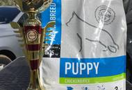 Hunting Dog CAC Show Kaposvár (H) 