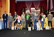 AAŐTKE CAC Klub Show Tolnanémedi (H)