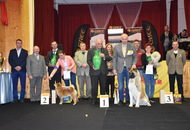 AAŐTKE CAC Klub Show Tolnanémedi (H)