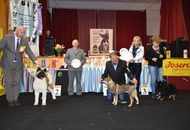 Special Dog Show AAŐTKE Tolnanémedi (H)