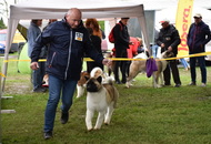 XX. CAC Dog Show Koprivnica (HR) 