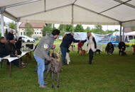 XX. CAC Dog Show Koprivnica (HR) 