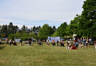 CAC Dog Show Zalaegerszeg (H) - 1st day